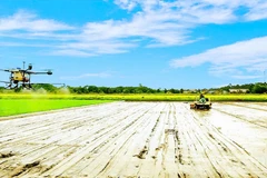 Фермеры города Кантхо внедряют высокие технологии в сельскохозяйственное производство.