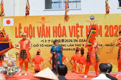 Художественный номер на фестивале.