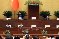 Зампредседателя НС Нгуен Тхи Хонг руководит заседание. Фото: ВИА