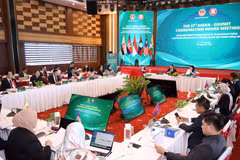 Вид с церемонии открытия 27-го заседания Координационного совета ASEAN-OSHNET в Дананге. Фото: ВИА