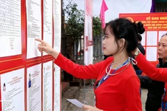 Избирательница народности Мыонг, впервые участвующая в выборах, внимательно изучает биографию кандидатов. Фото: ВИА