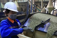 Переработка кофе на предприятии Simexco Dak Lak. Продукция с низким, прозрачным и эффективно управляемым углеродным следом будет обладать долгосрочными конкурентными преимуществами. Фото: ВИА