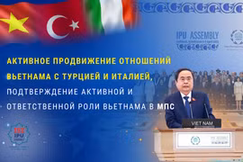Активное продвижение отношений Вьетнама с Турцией и Италией, подтверждение активной и ответственной роли Вьетнама в МПС