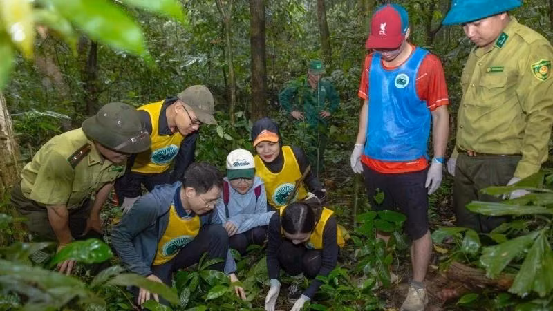 Туристы участвуют в туре «Возвращение домой» в национальном парке Кукфыонг. Фото: nhandan.vn