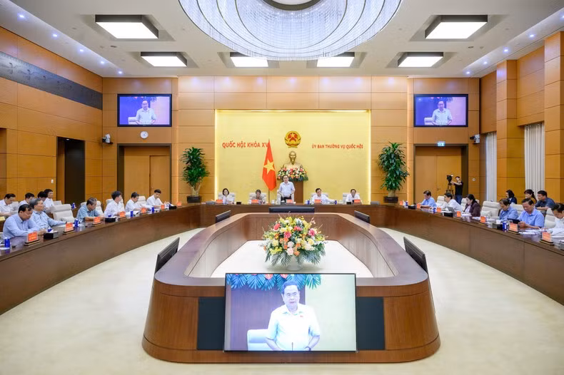 Общий вид совещания.