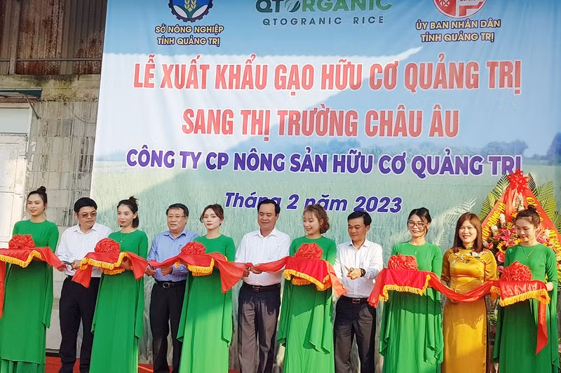 Церемония экспорта органического риса Куангчи на европейский рынок. Фото: Лам Куанг Хюи