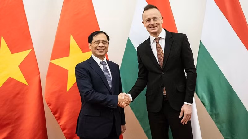 Министр иностранных дел Буй Тхань Шон и Министр внешнеэкономических связей и иностранных дел Венгрии Петер Сийярто. Фото: ВИА