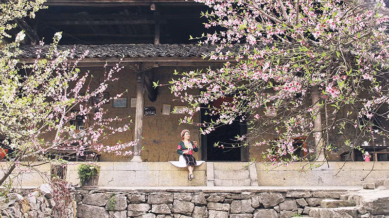 Лаоса весной, когда цветы распускаются.