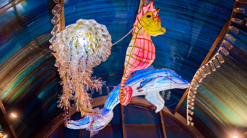 Мир «морской жизни» на пешеходном мосту