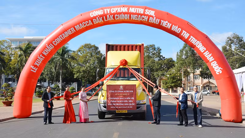 Церемония объявления экспорта первого контейнера орехов макадамии на южнокорейский рынок. Фото: ВИА
