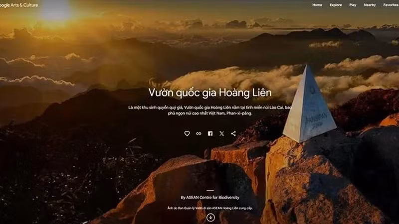 Google Arts & Culture официально запустил эксклюзивный сайт для Вьетнама под названием «Vibrant Vietnam», который предлагает 31 онлайн-выставку с более чем 400 изображениями и десятками видеороликов о культуре этнических групп Вьетнама. Фото: скриншот