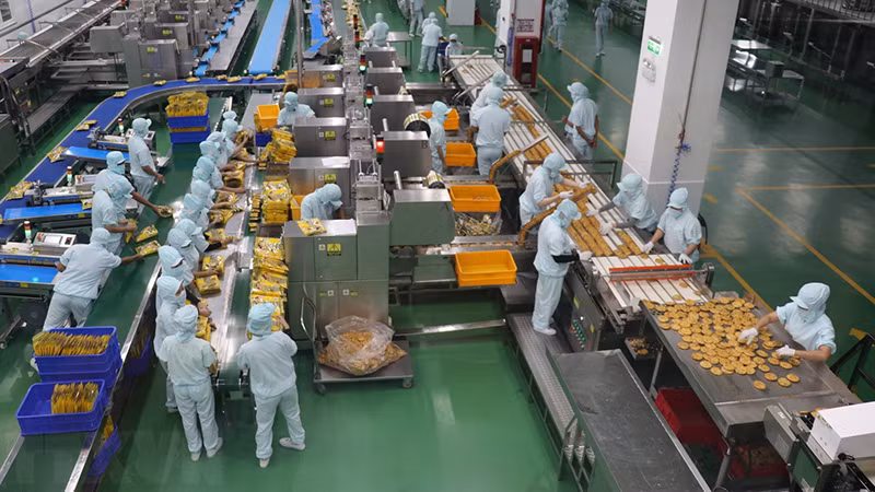 На одном заводе с иностранными инвестициями в провинции Тиенжанг. Фото: ВИА