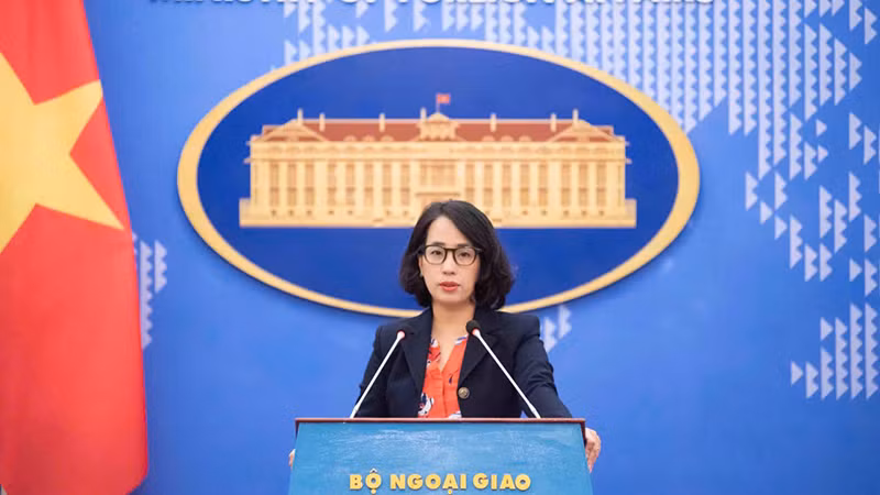 Официальный представитель Министерства иностранных дел Вьетнама Фам Тху Ханг