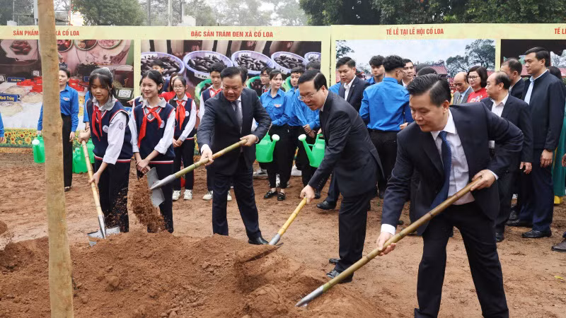 Делегаты садят памятное дерево в памятнике особого государственного значения Колоа.