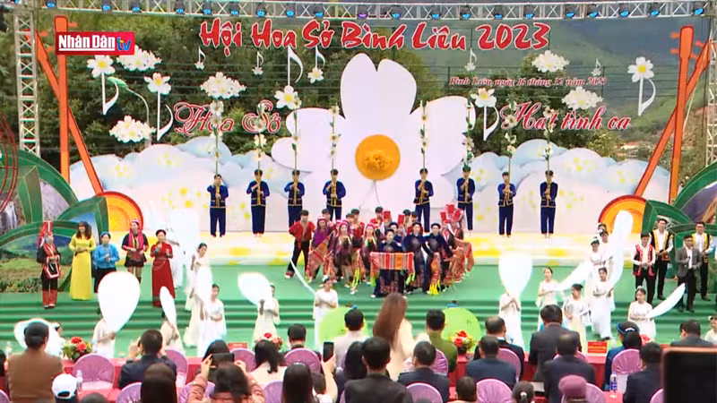 Фестиваль цветов камелии сасанквы Биньлиеу 2023 года.