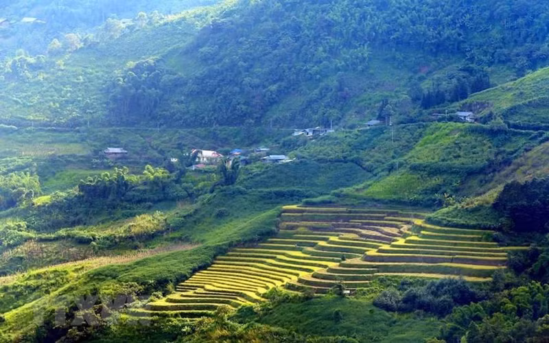 Террасные поля под лучами солнца.