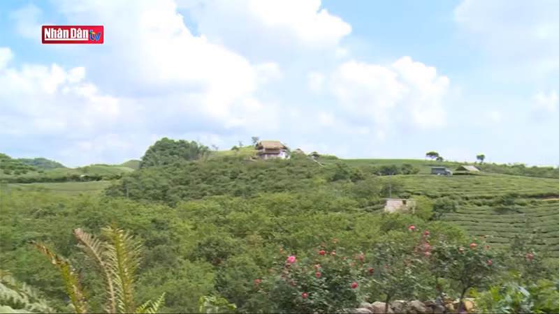 Находясь прямо на национальной автомагистрали №6, селение Тьиенгди 1 имеет уникальный ландшафт. 