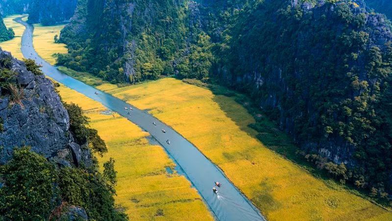 Золотые краски Тамкок. Фото: Департамент туризма провинции Ниньбинь