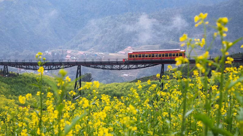 Романтический поезд на вершину Фаншипан. Фото: SunGroup