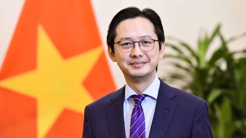 Заместитель министра иностранных дел До Хунг Вьет. Фото: baoquocte.vn