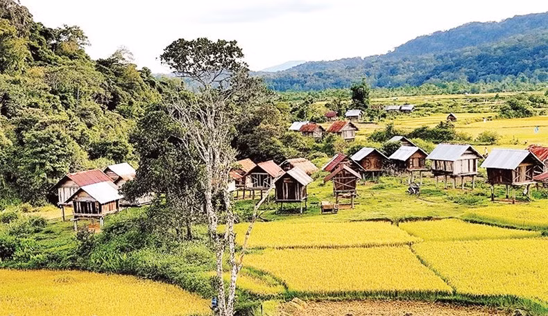 Представители народностей Бана и Жрай живут в экотонном районе.