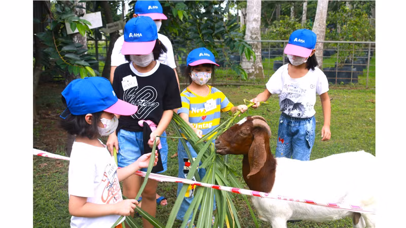 Дети играют в зоне для коз и кроликов с миленькими животными. Фото: dulich.laodong.vn