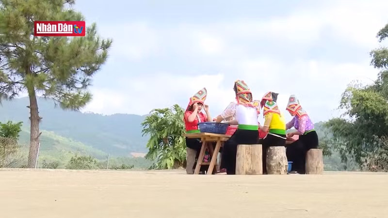 Большинство членов кооператива Ara-Tay Coffee является тайскими женщинами, у которых общее желание поднять положение кофейных зерен своей маленькой Родины.