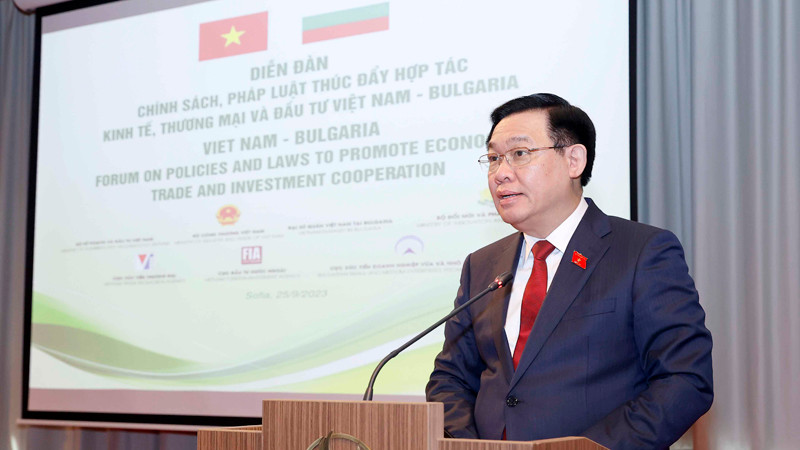 Председатель НС Выонг Динь Хюэ выступает на форуме. Фото: quochoi.vn