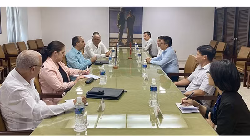 Товарищ Ле Куок Минь работает с Заведующим Идеологическим отделом ЦК КПК. Фото: ВИА