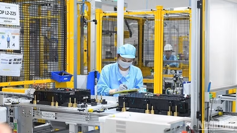 Иллюстрация. Фото: Тхань Дат