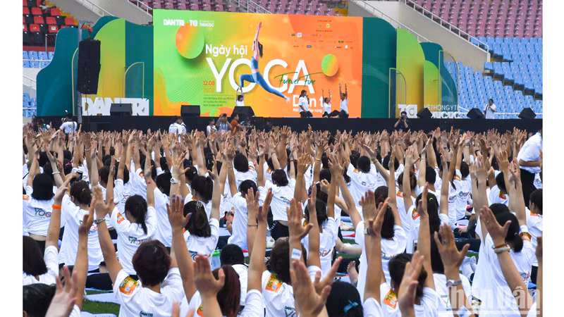 Йога – один из популярных видов спорта во Вьетнаме и во многих странах мира.