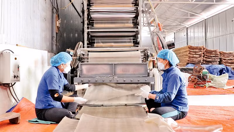 После сушки на солнце вермишель помещают в машину для резки.