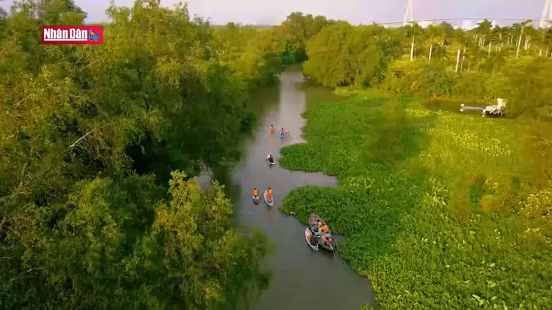 Участвуя в туре, туристы могут в полной мере наслаждаться красотой водного пространства города Кантхо.