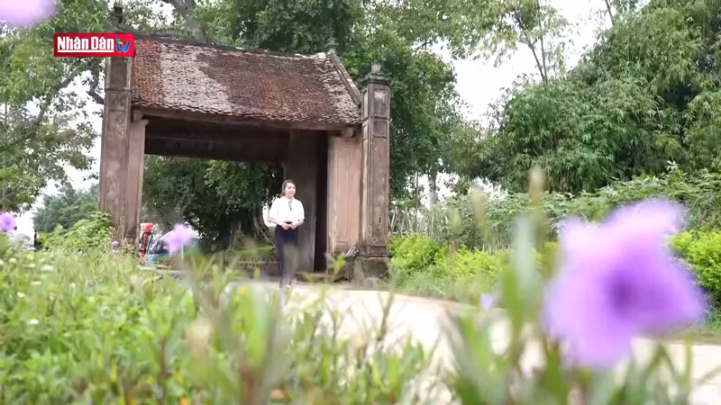 Деревня Дыонглам сохраняет основные характеристики северной деревни. 