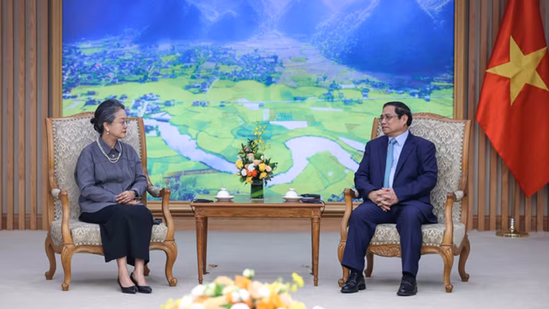 Премьер-министр Фам Минь Тьинь и г-жа Армида Салсиа Алисджабана. Фото: VGP