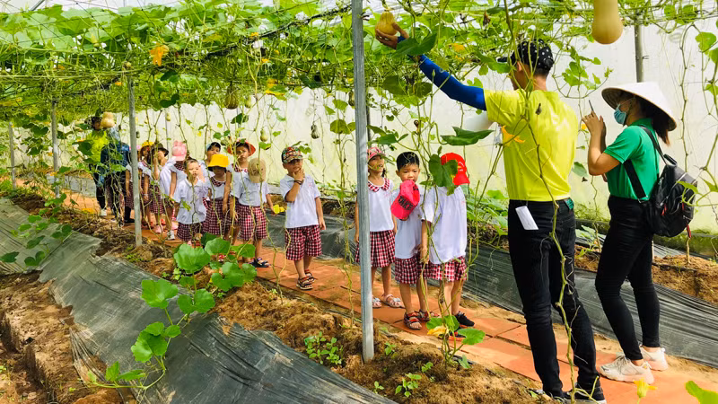Изюминкой фермы является органический питомник растений и овощей. Фото: haugiangtourism.vn