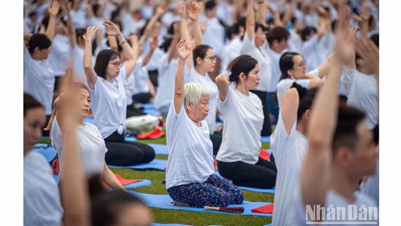 Откликнулись на программу даже пожилые люди.