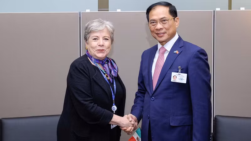 Министр Буй Тхань Шон встречается с Министром иностранных дел Мексики Алисией Барсеной. Фото: МИД Вьетнама