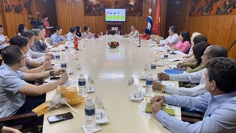 Делегация провинции Донгнай работает с руководителями провинции Пинар-дель-Рио. Фото: ВИА