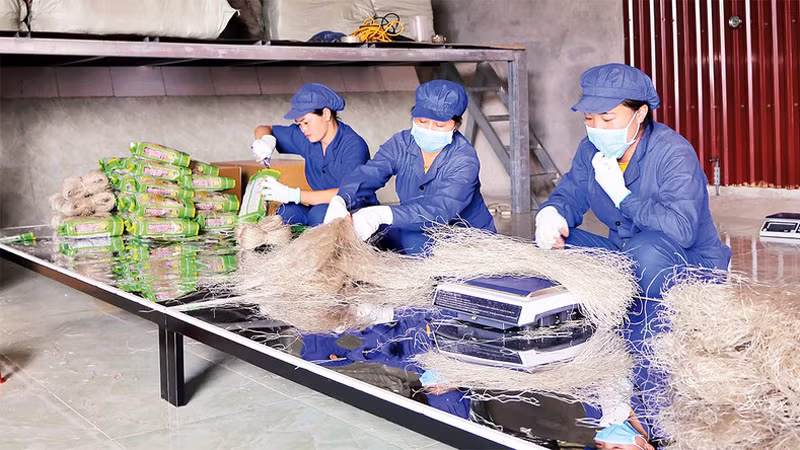 После резки вермишель будет упакована в кооперативе Тайхоан уезда Нари.