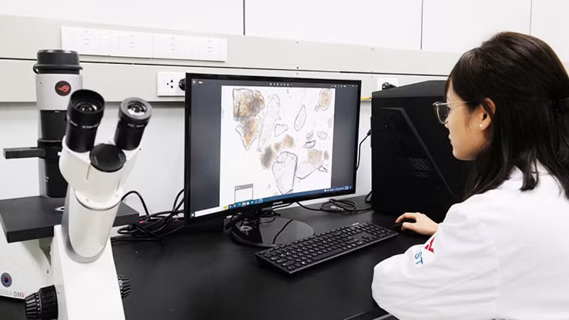 Фото: Лаборатория Вьетнамско-южнокорейского института науки и технологий.