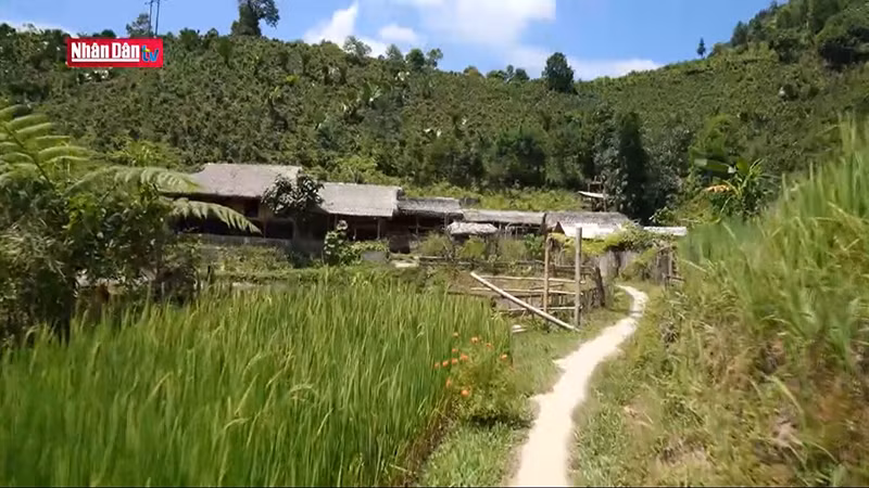 Селение Лиен до сих пор сохраняет свою идиллическую деревенскую девственность.