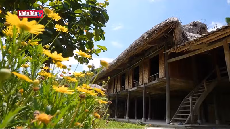 Традиционный дом на сваях.