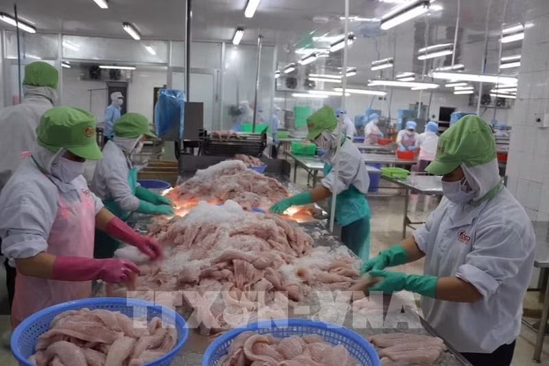 Производственная деятельность на акционерном предприятии Го Данг промышленного парка Mитхо. Фото: ВИА