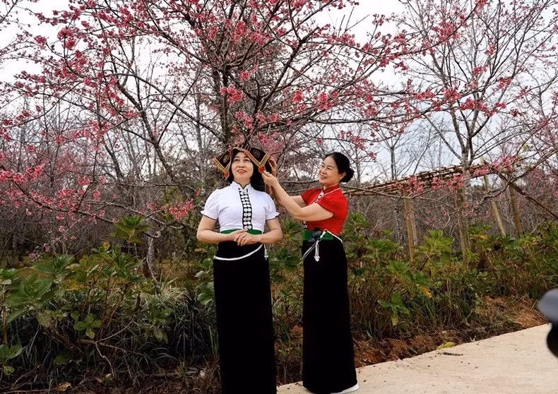 Туристы запечатлевают самые красивые моменты на цветочном острове Пакхоанг.