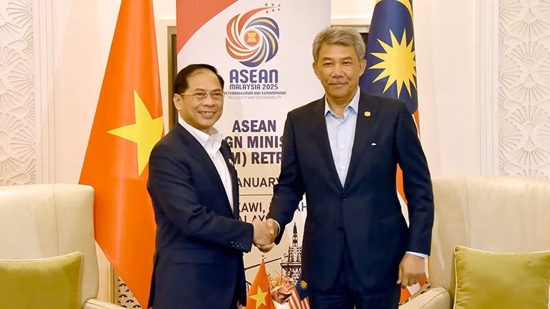 Вице-премьер, министр иностранных дел Вьетнама Буй Тхань Шон и министр иностранных дел Малайзии Дато Сери Утама Хаджи Мохамад Бин Хаджи Хасан.
