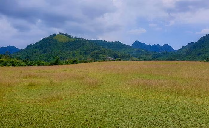 Просторные гладкие газоны подходят для развлекательных мероприятий и кемпинга в выходные дни.