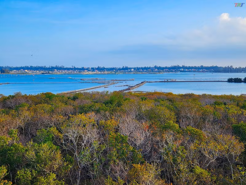 Рутя расположен почти в центре лагуны Тамжанг. Фото: trt.com.vn