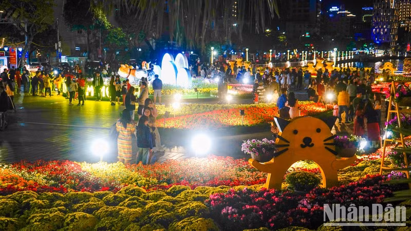 Жители г. Дананга прогуляются на весной цветочной улице.