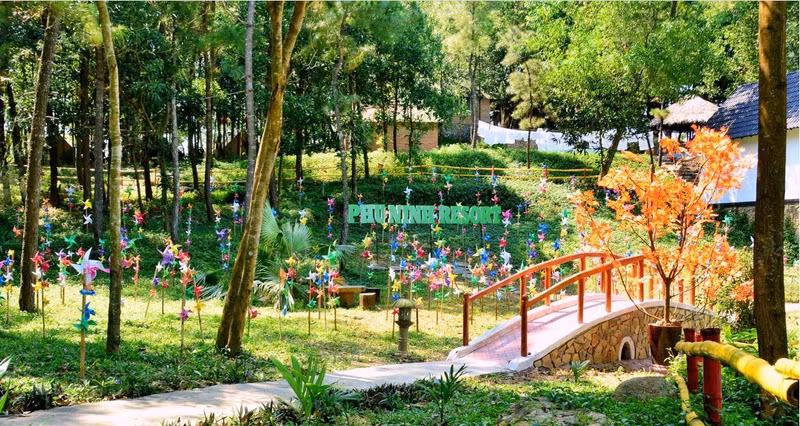 Ландшафт в экотуристической зоне. Фото: dulichphuninh.com